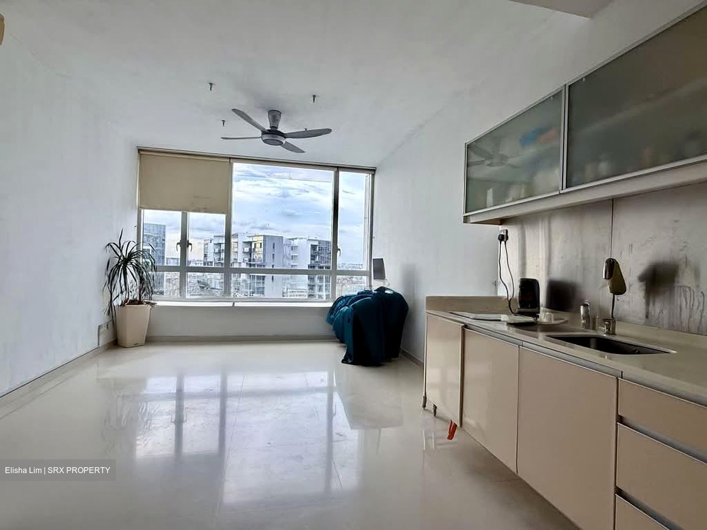 The Sea View (D15), Condominium #568158641